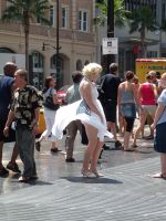 Photo Hollywood Yallingup